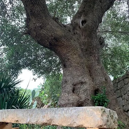 Villa Sara Castellana Grotte